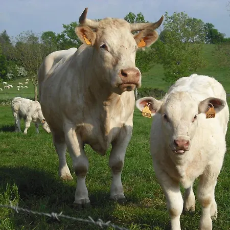 A La Campagne Avec Terrasse, Proche Du Puy Du Fou Et De La Riviere Sevre Sevremont
