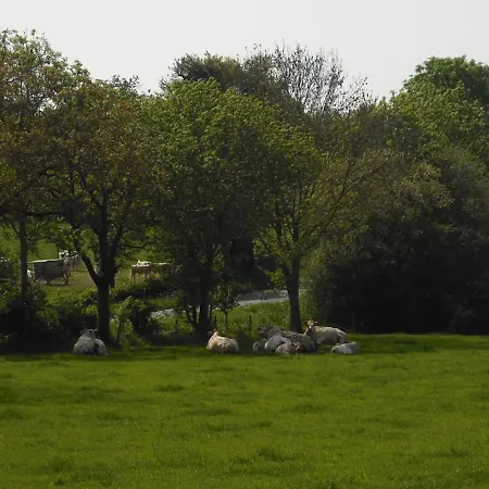 A La Campagne Avec Terrasse, Proche Du Puy Du Fou Et De La Riviere Sevre Country house