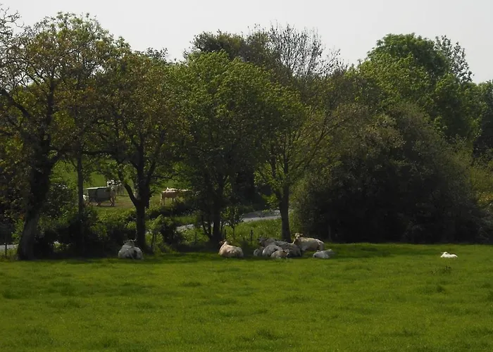 A La Campagne Avec Terrasse, Proche Du Puy Du Fou Et De La Riviere Sevre - Fr-1-426-249 Сasa de vacaciones